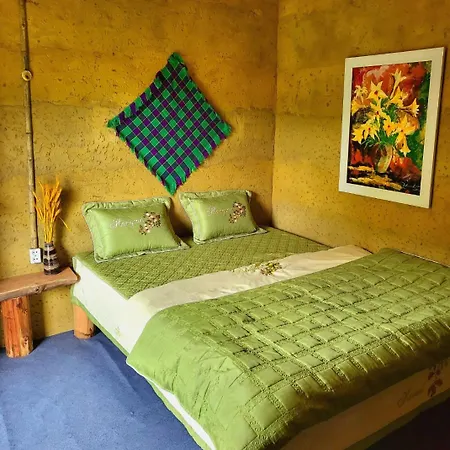 Homestay Quan Thanh Loung Co Exterior photo